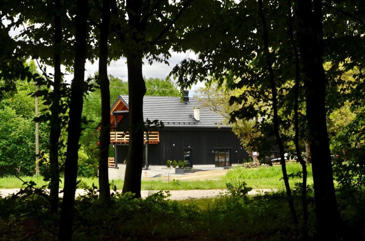 カジミエシュ・ドルニ Witoszyn28 Bed & Breakfast エクステリア 写真